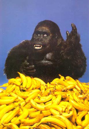 gorillabananas.jpg